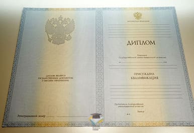 Диплом МФ ВШНИ 2012-2013 годов